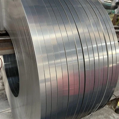 316 benzi din oțel inoxidabil